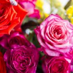 Q7 A0731 Photo Tobias Titz